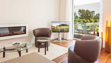 Televisión y chimenea