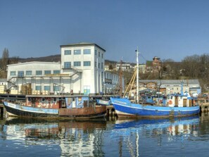 Imagen sin descripción, 3 de 17, botón