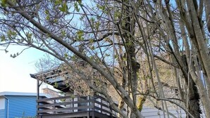 Una casa con terraza de madera y jardín de narcisos.
