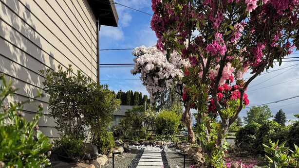 Un sendero en un jardín con piedras para pisar, rodeado de diversas plantas y árboles.