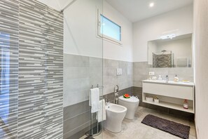 Shower, hair dryer, bidet, towels