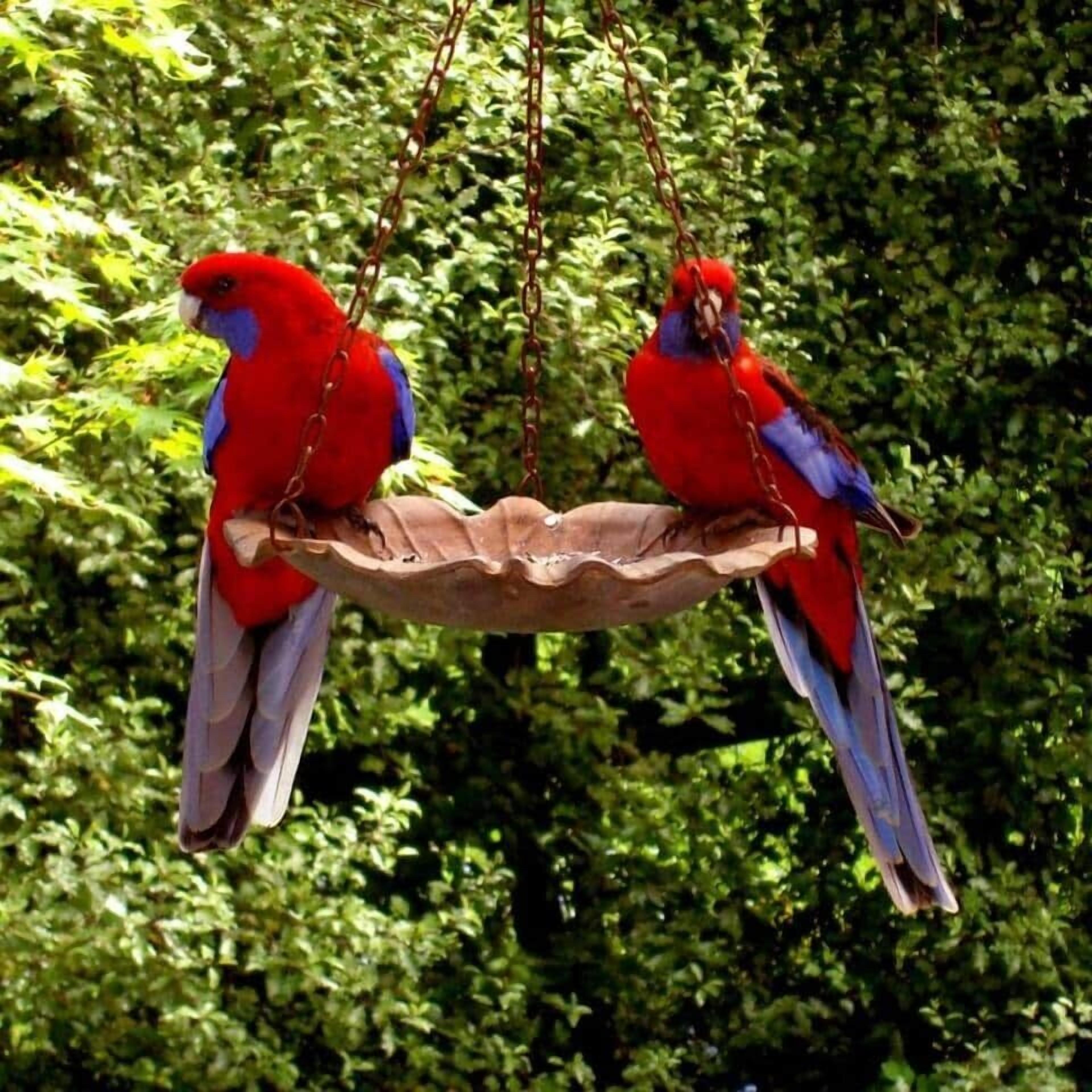 Dos loros, uno rojo y otro azul, posados en un comedero colgante.