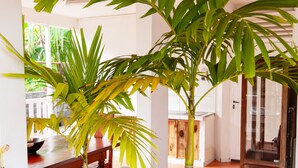 A room with a wooden bench, a potted plant, and a wooden cabinet. - Enjoy the peace and quiet of nature in this fresh, bright villa. (Saint-Joseph)