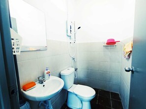 Ducha, artículos de tocador ecológicos, secador de pelo, bidet