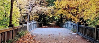 Charming dog-friendly bungalow near Starved Rock