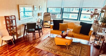 Chic apartment in marvelous Chicago with WiFi, AC