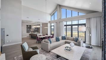 TV, fireplace, offices