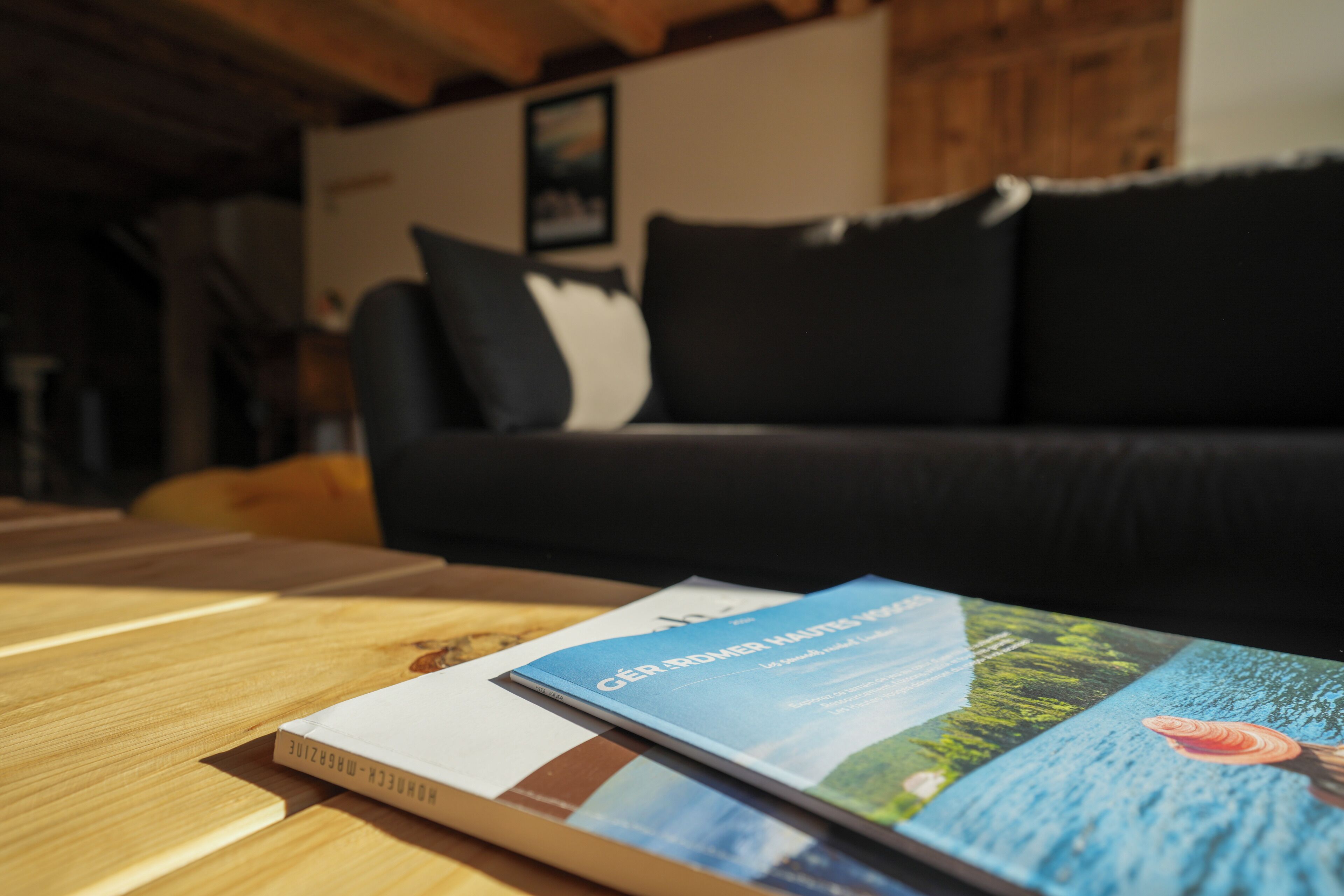 Ein Buch mit dem Titel 'Géneraliteits Hovedstads' auf einem Holztisch in einem Raum mit einer schwarzen Couch und einem Gemälde an der Wand.