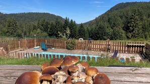 Ein Haufen Pilze auf einer Holztischplatte, im Hintergrund ein Holzzaun und eine Berglandschaft.
