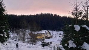 Eksteriør