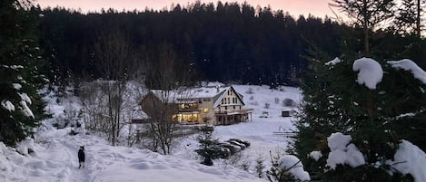 A snow-covered path leading to a lodge with a lit exterior, surrounded by trees and snow.