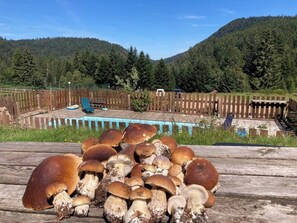 Property grounds - Le Perchoir, 6 people, Le gand valtin, full nature (Ban-sur-Meurthe-Clefcy)