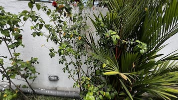 Jardín