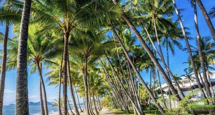 COCONUT and LIME @ PALM COVE