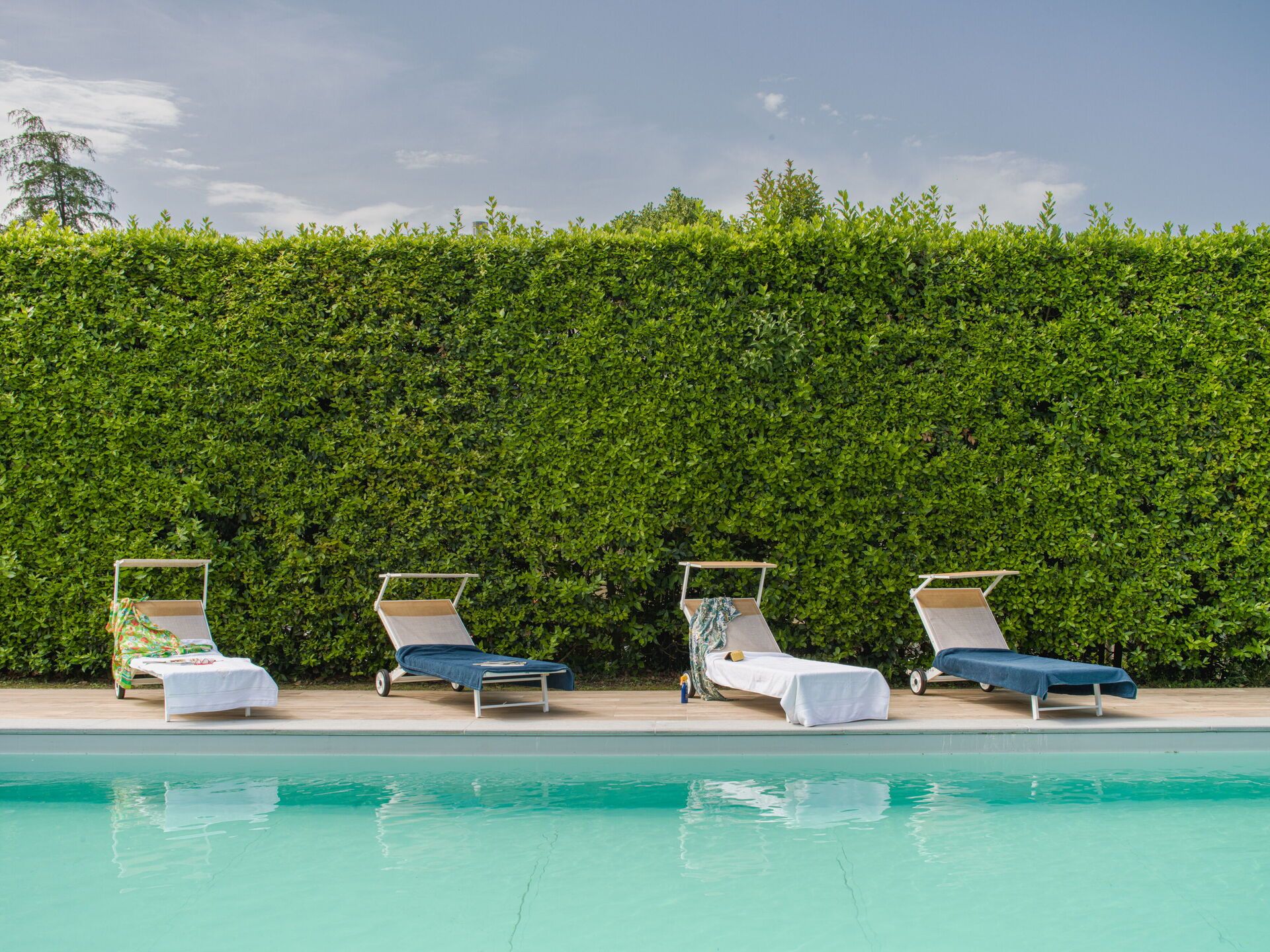 A poolside area with four lounge chairs and a hedge wall.