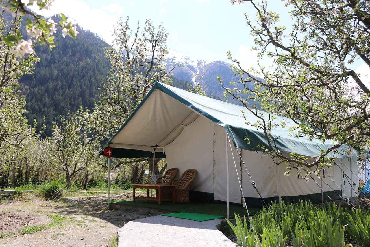 A tent with a green roof and beige walls, two wicker chairs under a canopy, and a paved path leading to it.