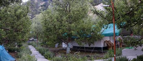 A garden path leading to a tented area with trees and a mountain backdrop.