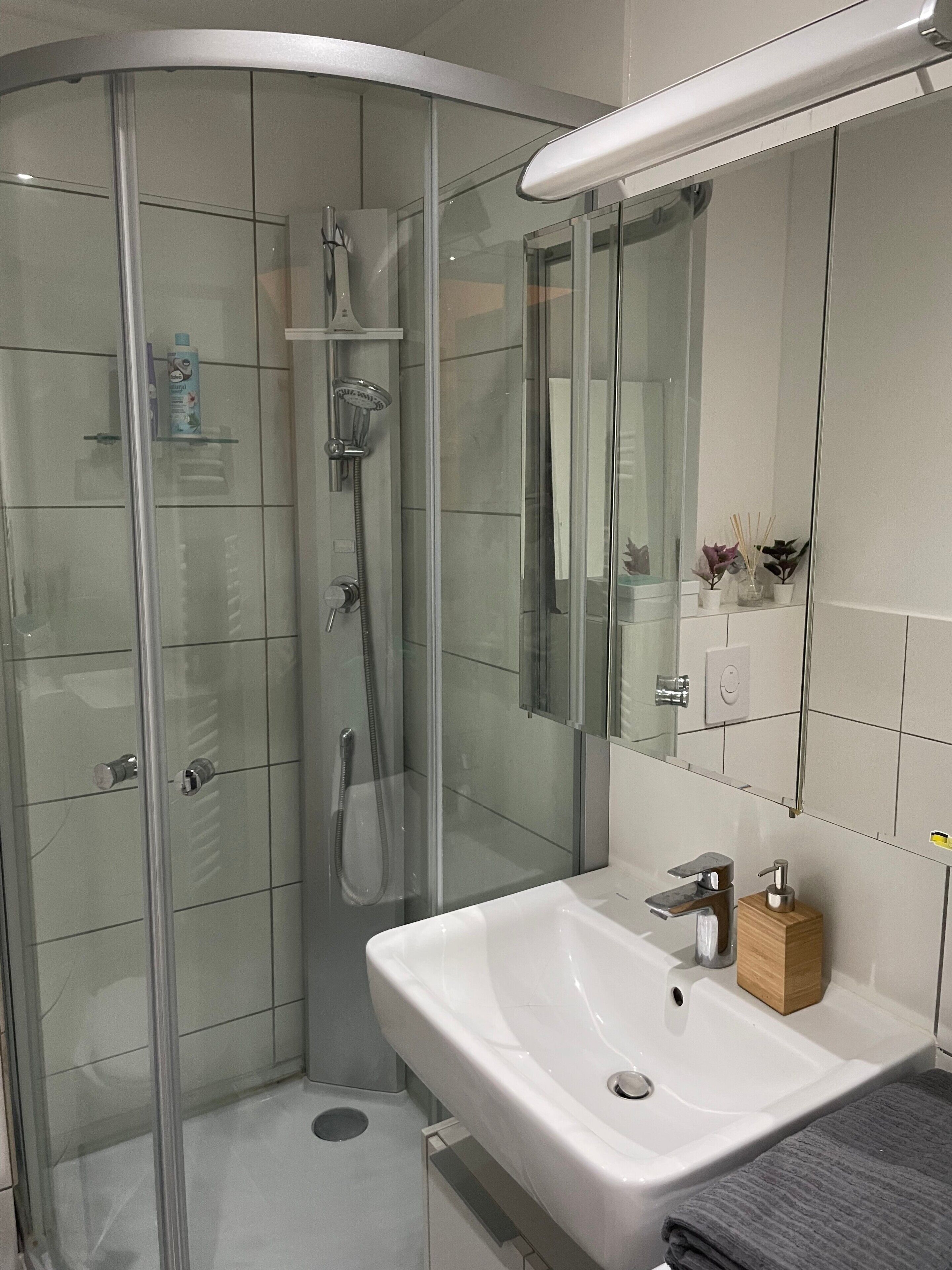 Douche, sèche-cheveux