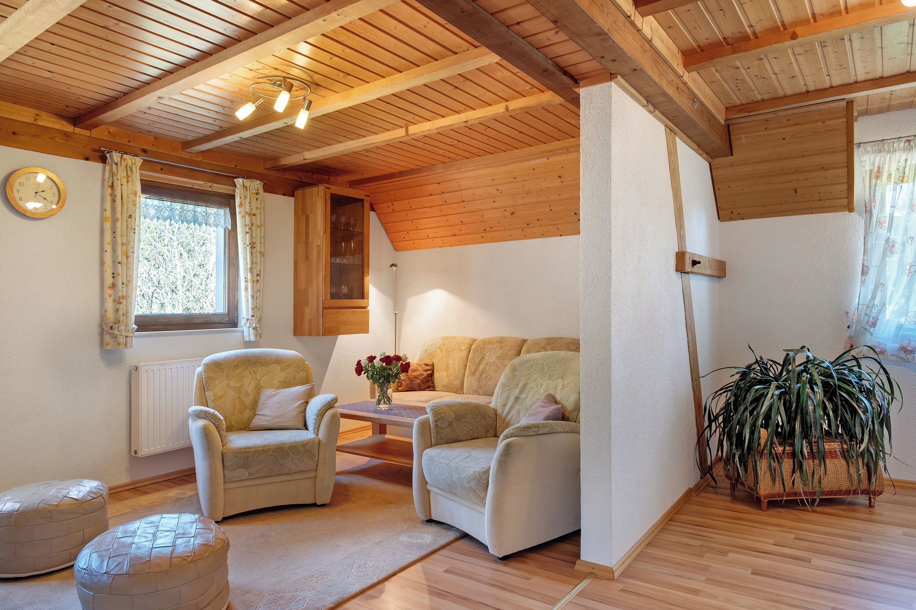 Fernseher, Stereoanlage