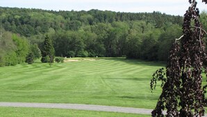A golf course with a clear path, trees, and a forested hill in the background.