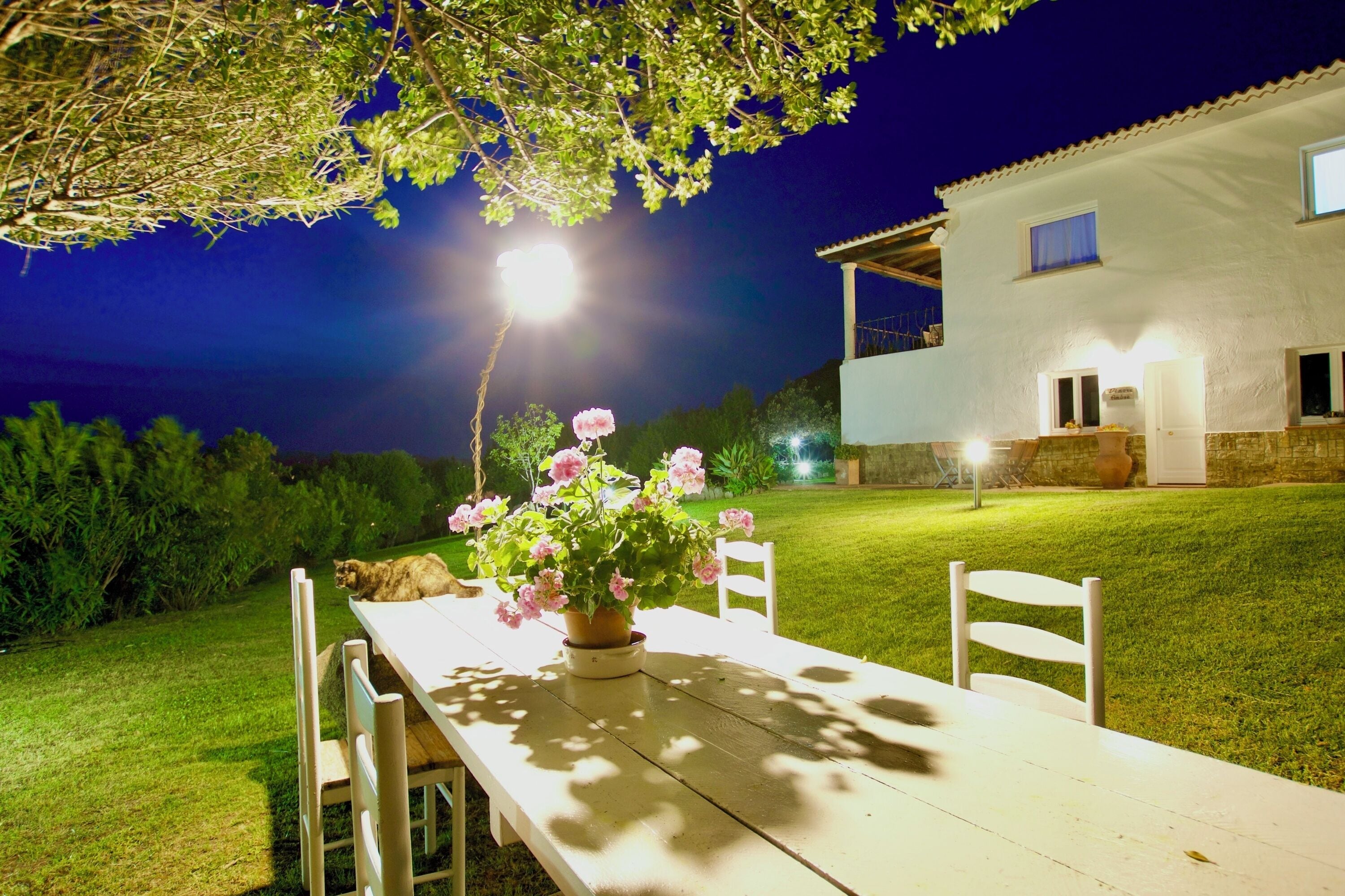 Opções para refeição ao ar livre