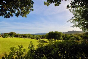 Miscellaneous - Dimora Apartments (Arzachena)