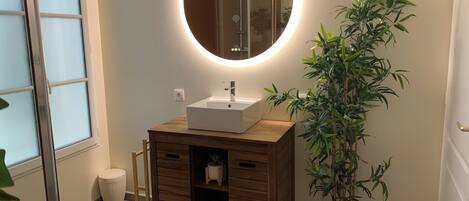 Shower, hair dryer, towels, toilet paper