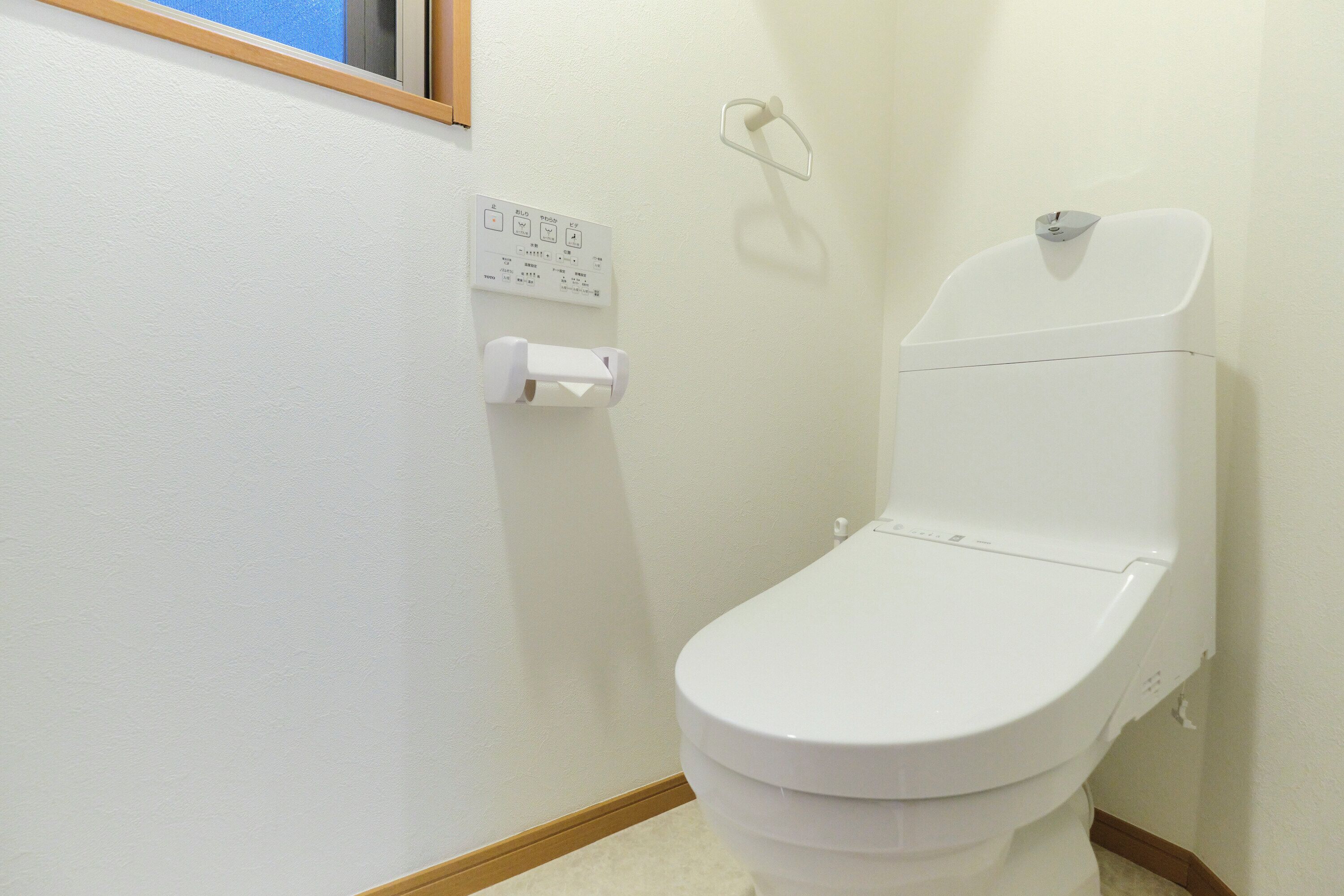 A small, white bathroom with a toilet, a wall-mounted flush handle, and a toilet paper holder.