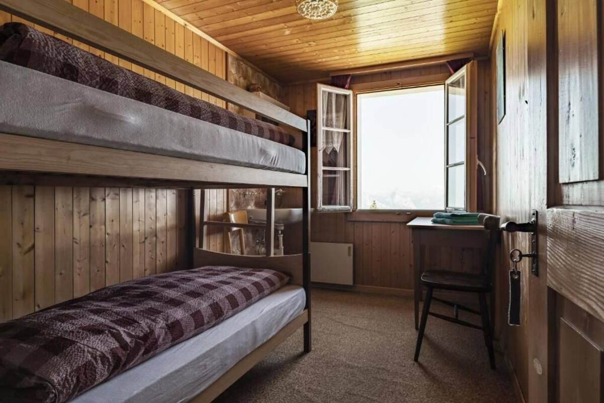 A bunk bed room with a desk and chair, wooden walls, and a window.