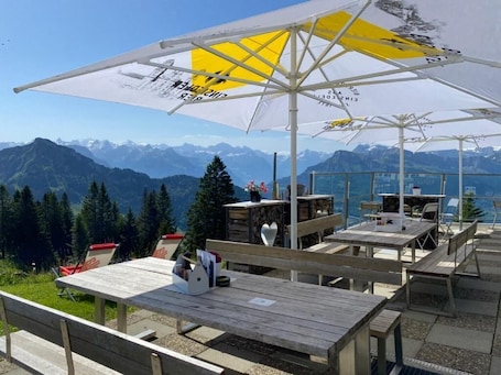 Paseos con raquetas de nieve