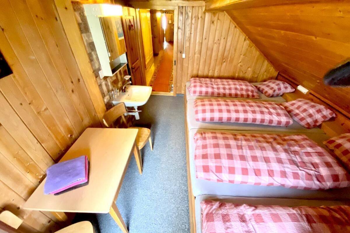 A cabin with a wooden interior, a single bed with checkered bedding, a small table with a chair, and a bathroom with a sink and mirror.