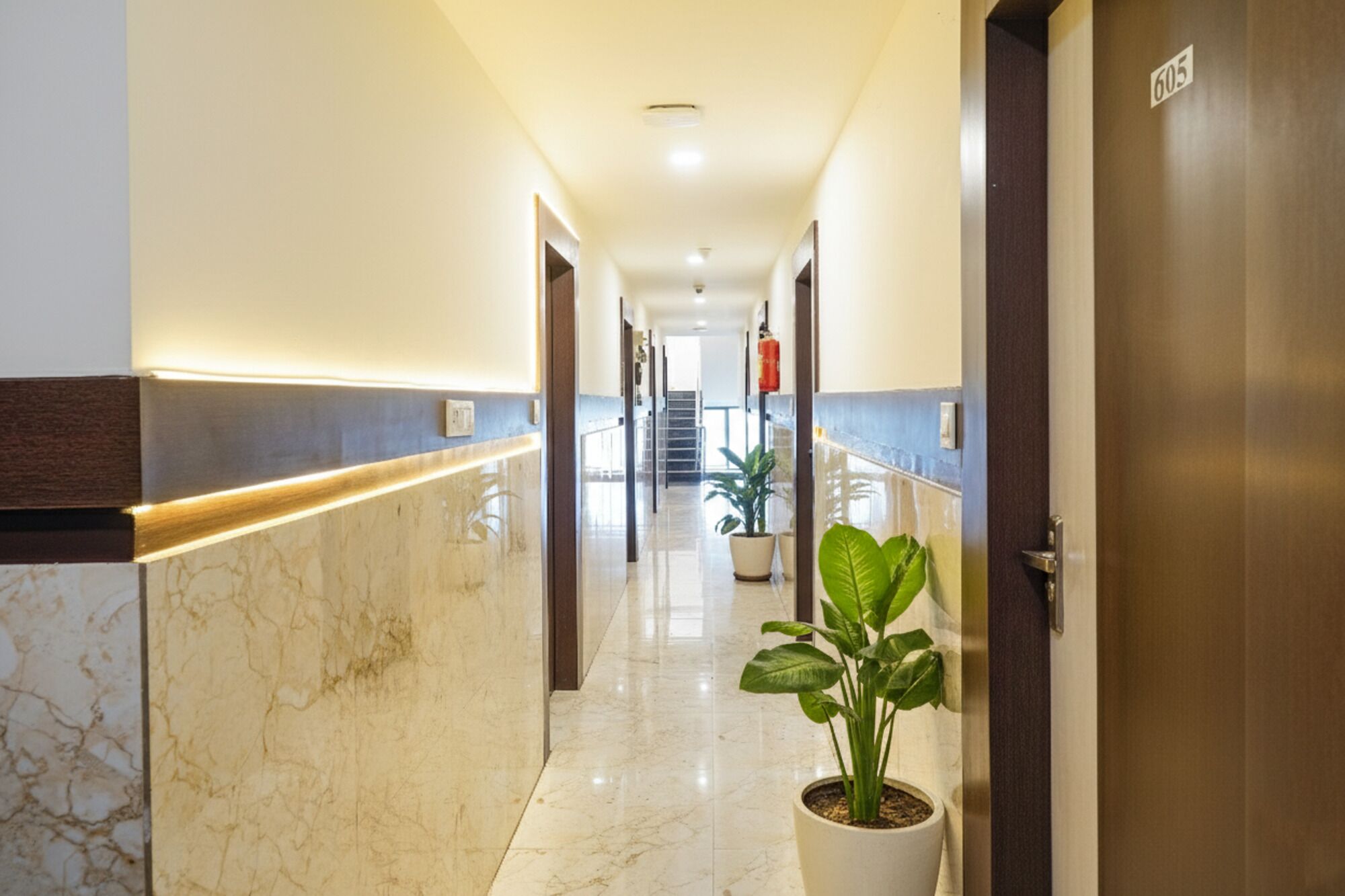 A hotel corridor with marble walls, a potted plant, and a door marked with the number 605.