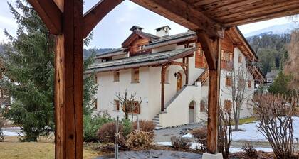 Charming and Modern Chalet (Laax Chalet)