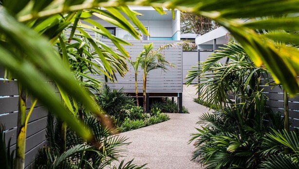 A pathway leading to a modern building with a grey facade, surrounded by lush greenery and palm trees.