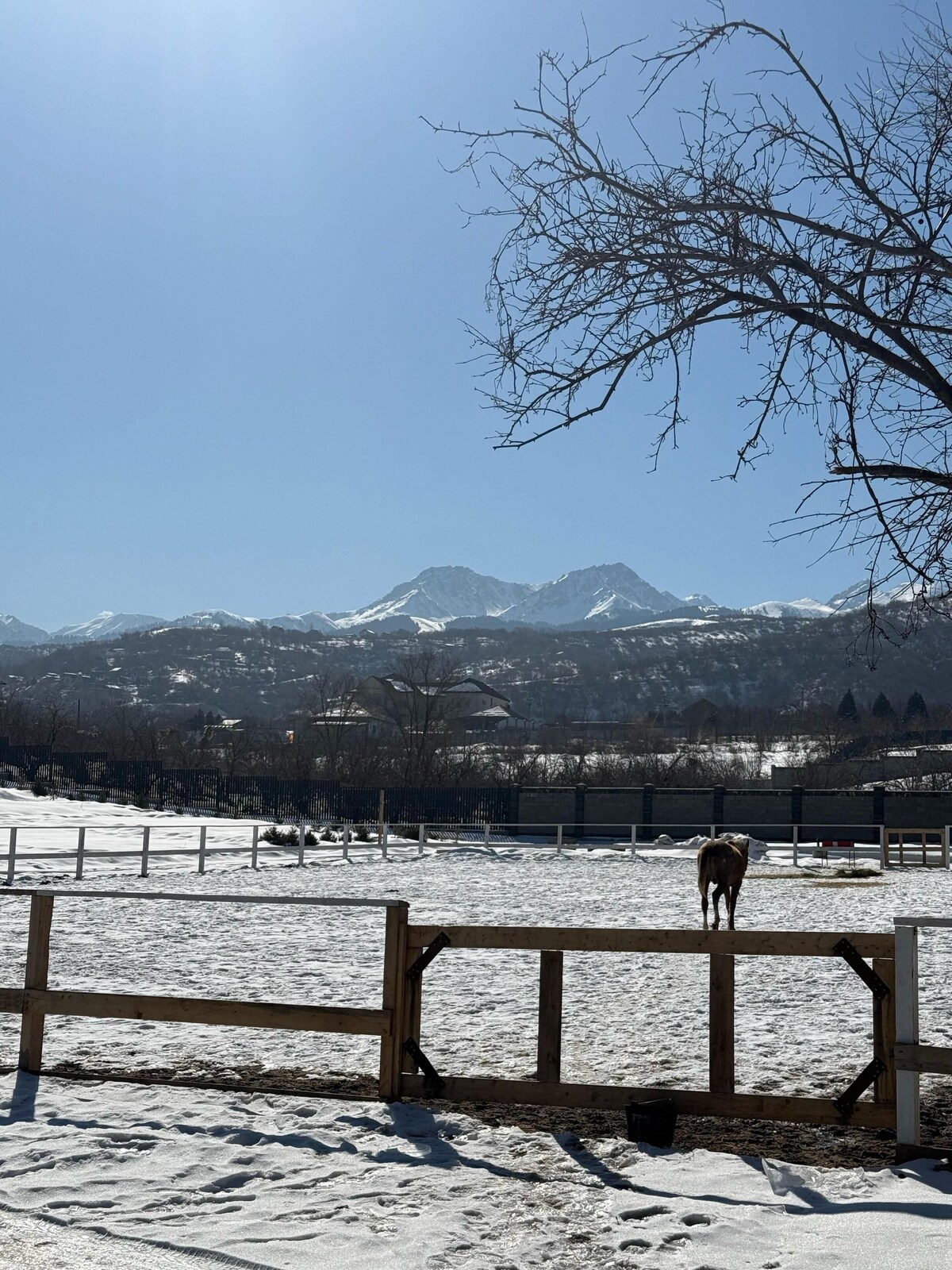 Image de profil de lâhĂŽte