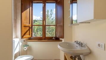 Shower, hair dryer, bidet, towels