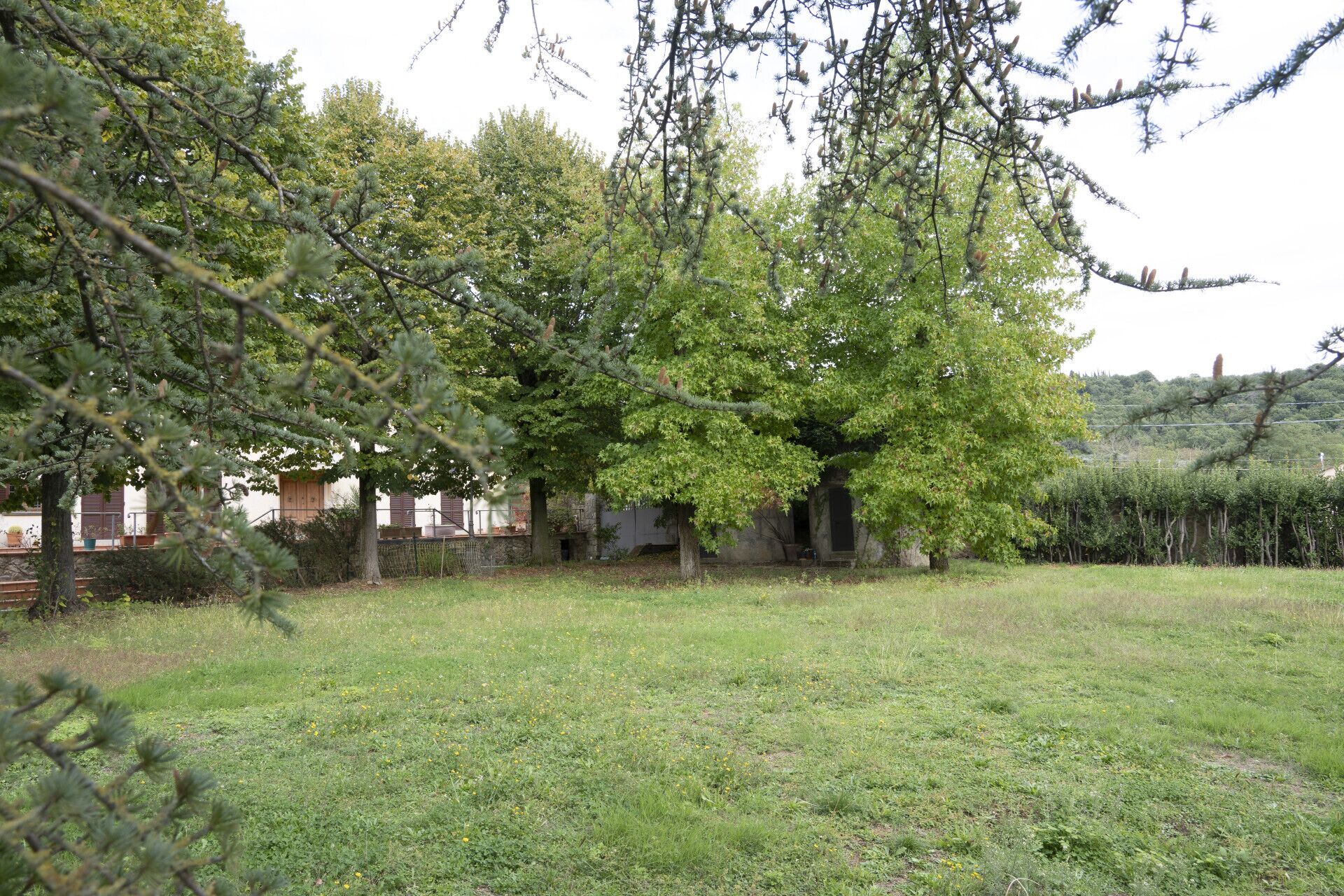 Parco della struttura