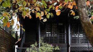Ein traditionelles Gebäude mit Holzfassade, einer Treppe, die zu einer oberen Ebene führt, und einem gepflegten Garten mit verschiedenen Pflanzen und einem kleinen Baum.