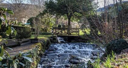 living Timeless Adler Apartments Urlaub mit Hund