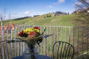 Property grounds - living TIMELESS: Alder Apartments Wohnung 35 (Sasbachwalden)