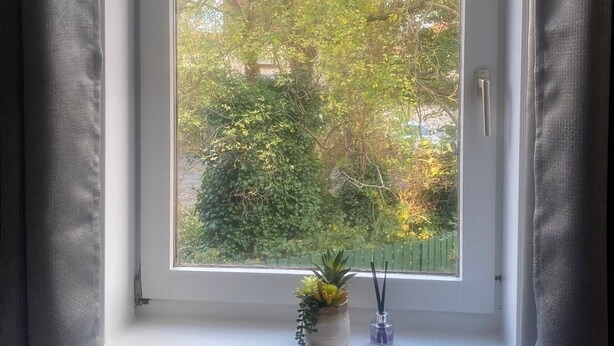 A window with a view of trees and a small potted plant on the windowsill.