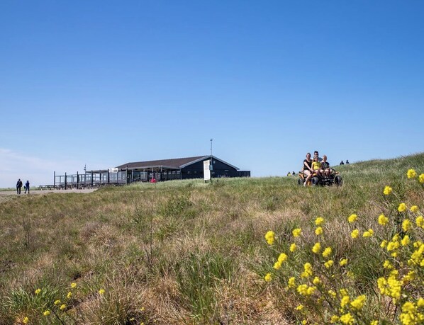 A building with a flat roof and a large open area in front. - Large holiday bungalow for rent Scheldeoord Baarland Zeeland 6 persons (Baarland)