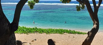 Furnished villa 4**** seaside, hyper center Saint Pierre/Terre Sainte