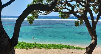 Furnished villa 4**** seaside, hyper center Saint Pierre/Terre Sainte