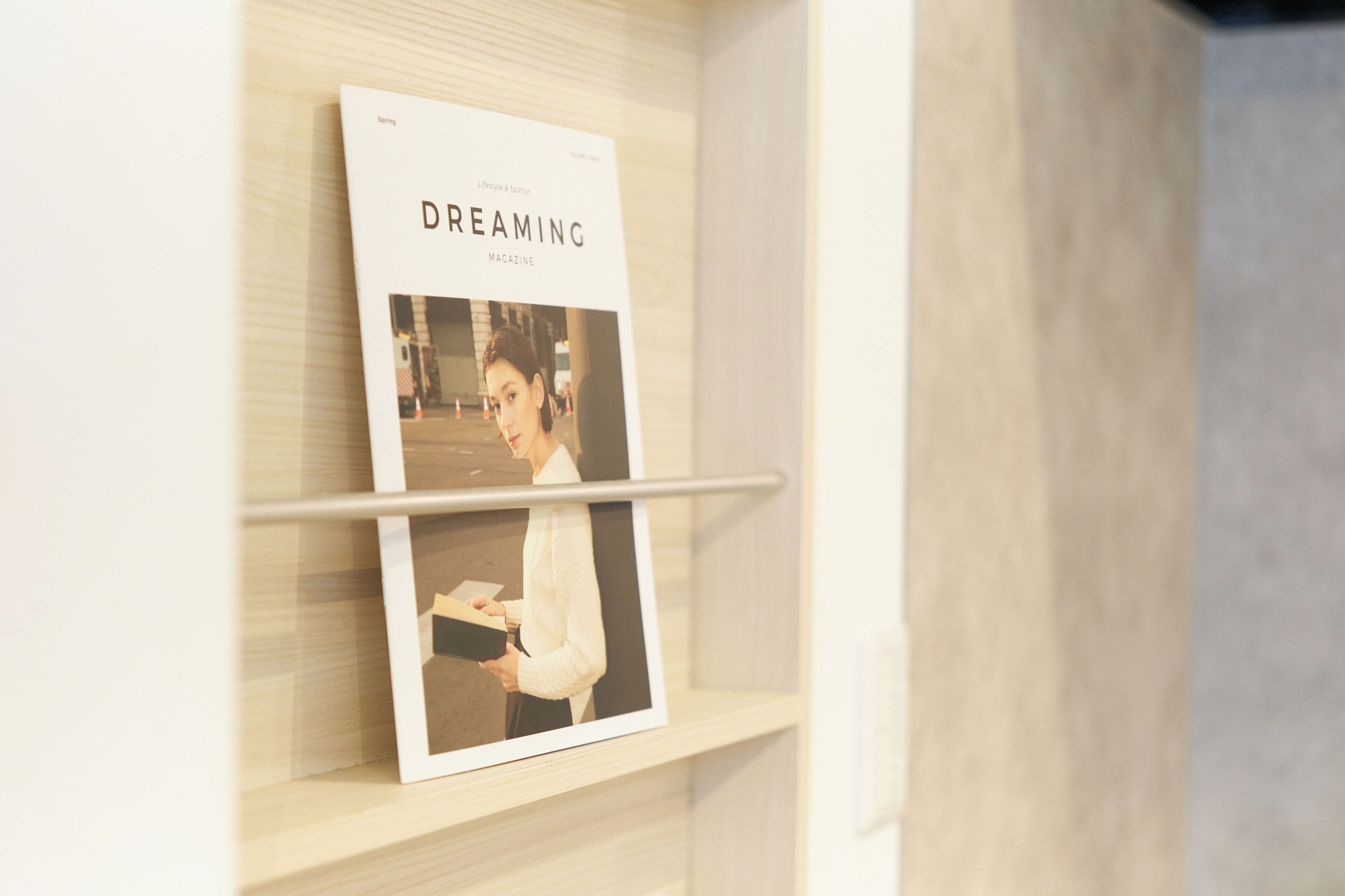 A magazine titled 'Dreaming' on a shelf.