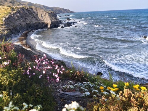 RELAX in Vera Playa with SPA: Beach, outdoor swimming pools, heated swimming pool...