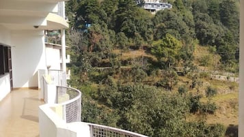 Vista del balcón