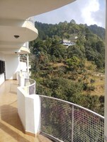 Vista del balcón