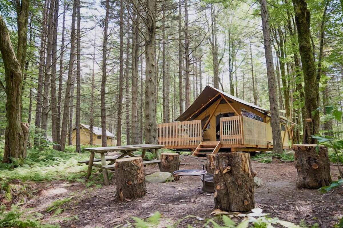 A wooden cabin in a forest with a picnic table, benches, and a fire pit.