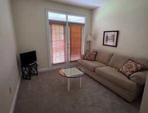 Smart TV, fireplace, books, printers